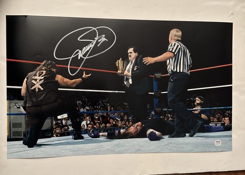 Mick foley signed photo - photo, 20”